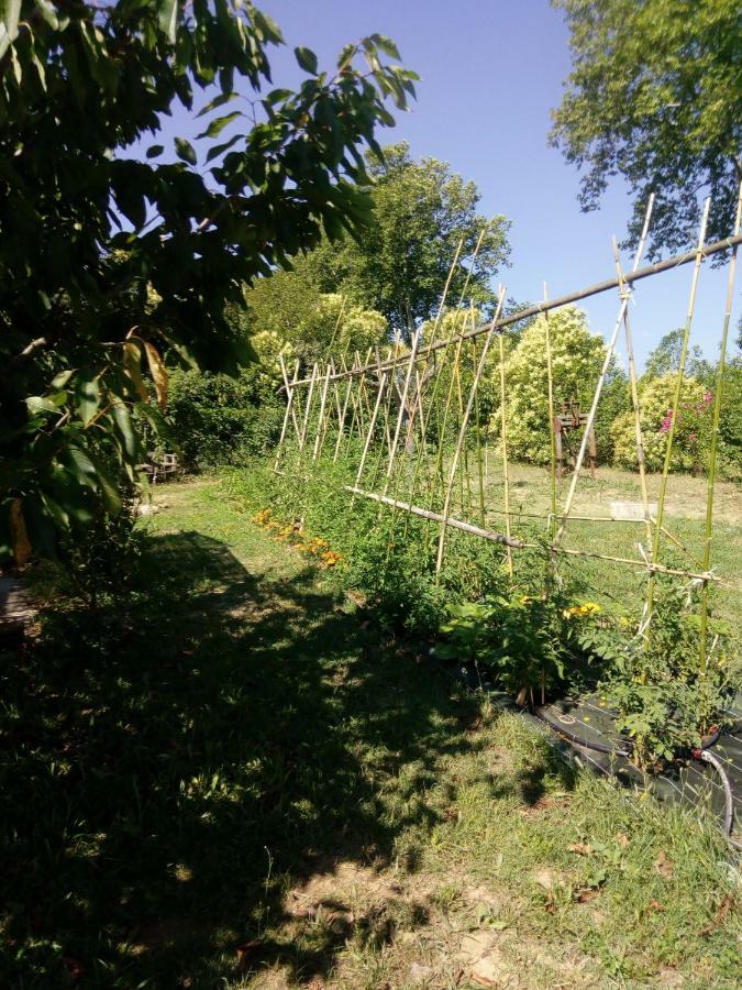 Lili Villa Céret Eksteriør bilde